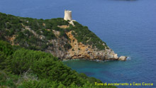 immagine 41 di 80